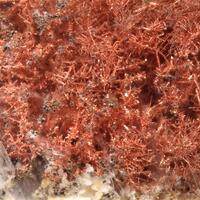 Copper In Gypsum