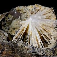 Aragonite & Calcite