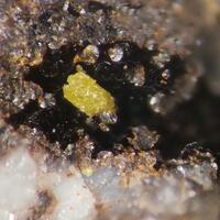 Bromargyrite & Coronadite