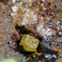 Bromargyrite & Coronadite