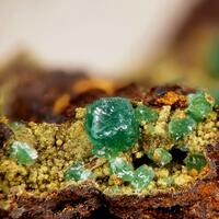 Adamite & Segnitite