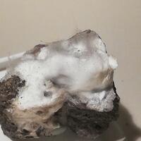 Mordenite