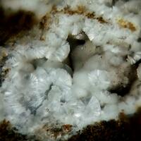 Strontiodresserite
