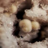 Mullite Tridymite & Pseudobrookite