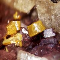 Carnotite