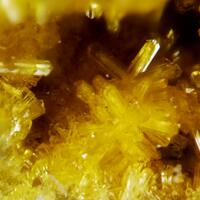 New Brand Minerals: 13 Mar - 18 Mar 2025