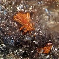 Ludlockite