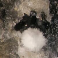 Ellingsenite