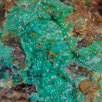 Garnierite