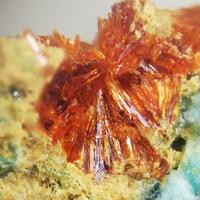 Amarantite