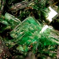 Torbernite