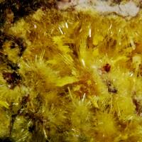 New Brand Minerals: 16 Apr - 22 Apr 2025