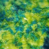 Astrocyanite-(Ce) & Kamotoite-(Y)