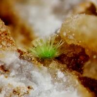 Creaseyite