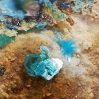 Ktenasite & Serpierite
