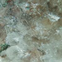 Vendidaite