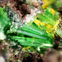 Cuprosklodowskite & Kasolite