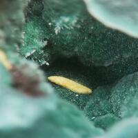 Demesmaekerite & Kasolite