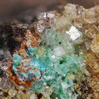 New Brand Minerals: 21 May - 27 May 2025