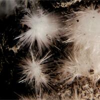 Canavesite & Dypingite