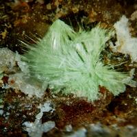 Creaseyite