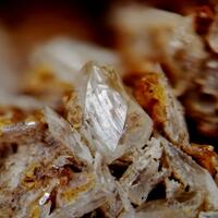 Whewellite