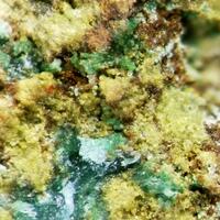 New Brand Minerals: 12 Jun - 17 Jun 2025