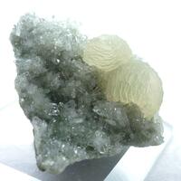 Prehnite & Quartz