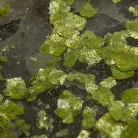 Autunite