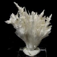 Aragonite