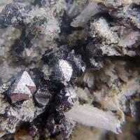 Prehnite Calcite Magnetite & Amphibole