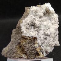 Pyrite On Calcite