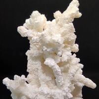 Aragonite