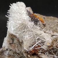 Gypsum