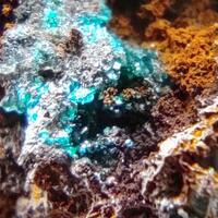 Reichenbachite & Pseudomalachite On Goethite