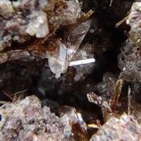 Tridymite Calcite Yuanfuliite Fluorophlogopite & Armalcolite