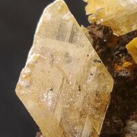 Gypsum