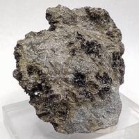 Ferro-actinolite