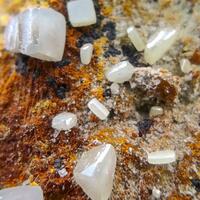 Wulfenite