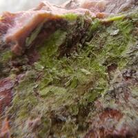 Adrael Minerals: 15 Apr - 22 Apr 2025