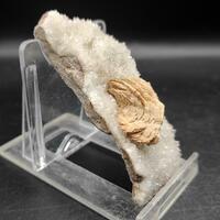 Baryte On Quartz