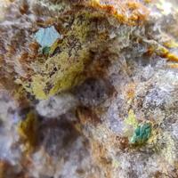 Adrael Minerals: 20 May - 27 May 2025