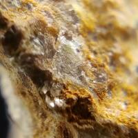 Adrael Minerals: 12 Jun - 19 Jun 2025