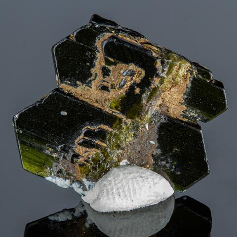 Label Images - only: Epidote