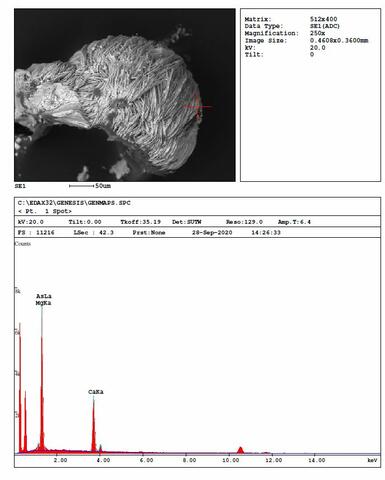 Analysis Report - only: Chongite