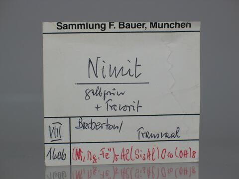 Label Images - only: Nimite