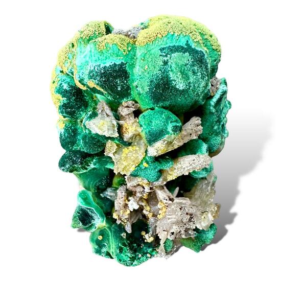 Malachite Cerussite & Pyromorphite