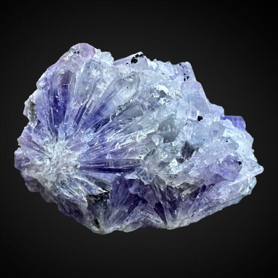 Creedite