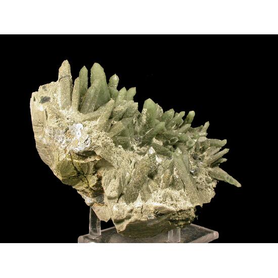 Quartz & Actinolite