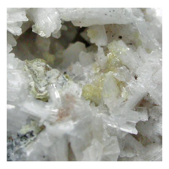 Alicewilsonite-(YCe) & Sphalerite